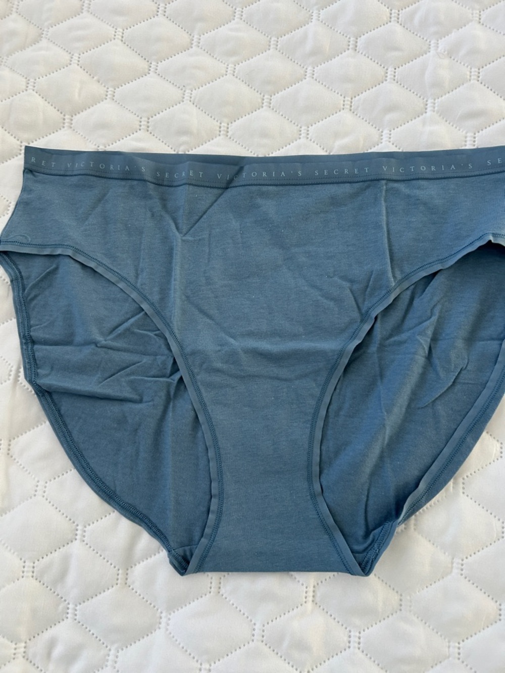 NWT size XXL Victoria's Secret Slate Blue high leg brief pantie